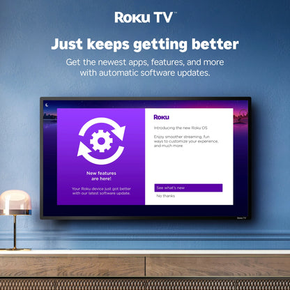50" Class 4K UHD LED LCD Roku Smart TV HDR R6 Series 50R6E3